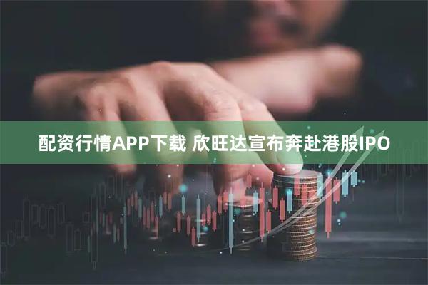 配资行情APP下载 欣旺达宣布奔赴港股IPO