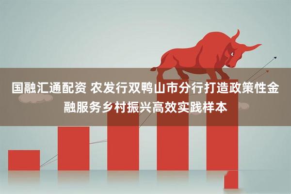 国融汇通配资 农发行双鸭山市分行打造政策性金融服务乡村振兴高效实践样本
